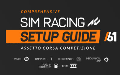 Assetto Corsa Competizione Ultimate Setup Guide