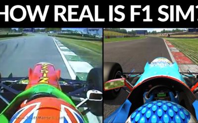 How Do Real F1 & Sim F1 Compare?